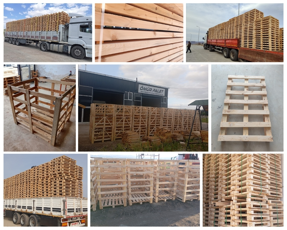 West Thorney Wooden Pallets, Buy Wooden Pallets Wholesale